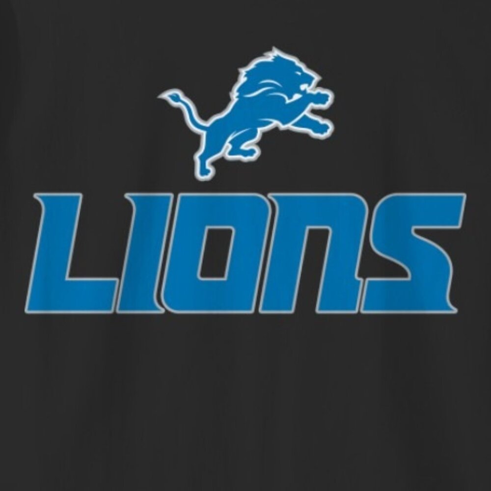 Detroit Lions Football NFL Team Graphic Fan Gift Apparel Pride T-Shirt 168 - Picture 2 of 5